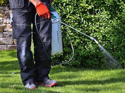Person spraying lawn with handheld pump sprayer