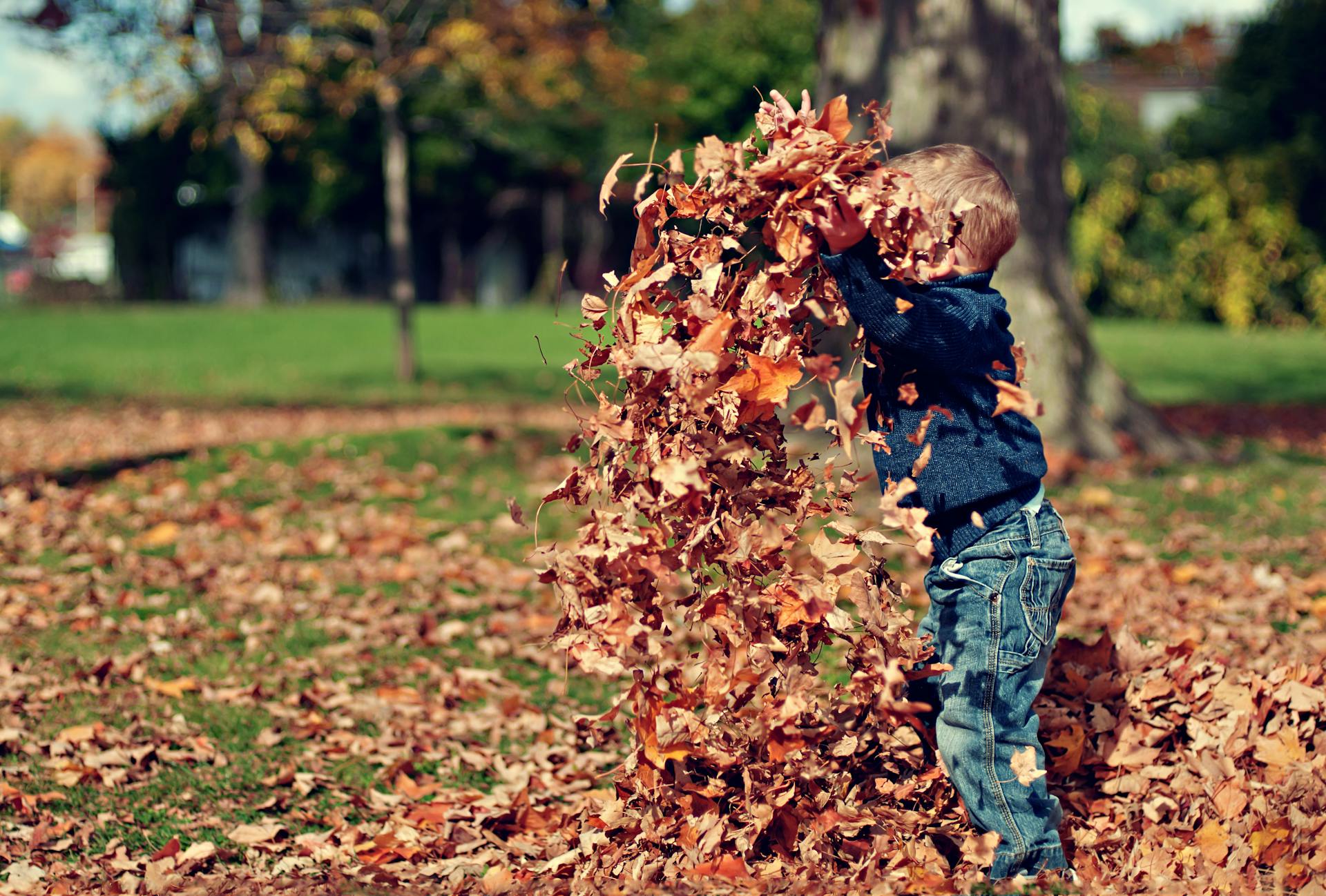 fall aeration